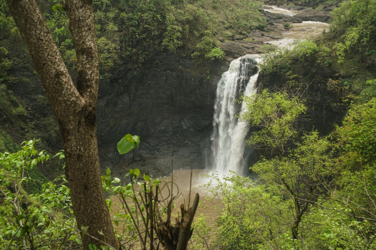 Sterling Nature Trails Dabhosa , Jawahar Birjpara Экстерьер фото